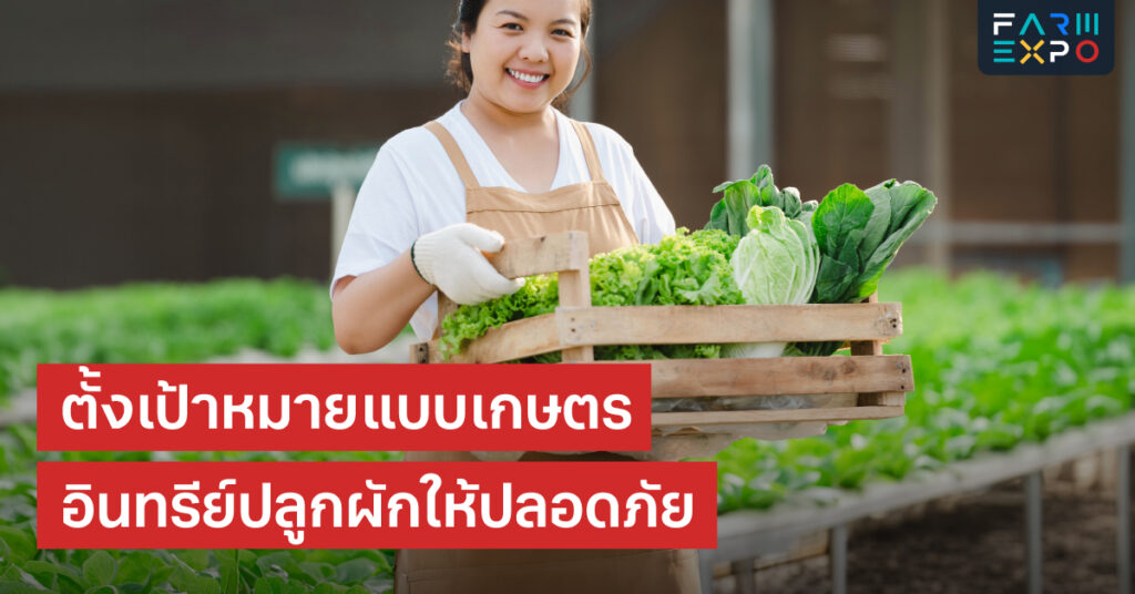 วิธีเริ่มต้นเกษตรอินทรีย์ ปลูกผักปลอดภัยอย่างไรให้ยั่งยืนและได้มาตรฐาน FarmExpo Content 12