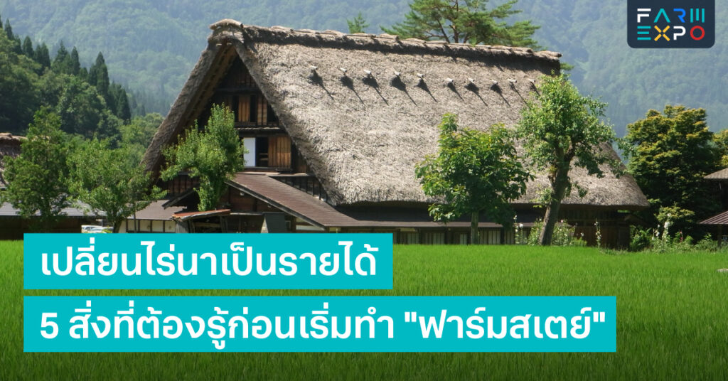 เริ่มทำฟาร์มสเตย์อย่างไรให้รุ่ง? 5 ขั้นตอนเตรียมตัวสำหรับเกษตรกรยุคใหม่ FarmExpo Content 13