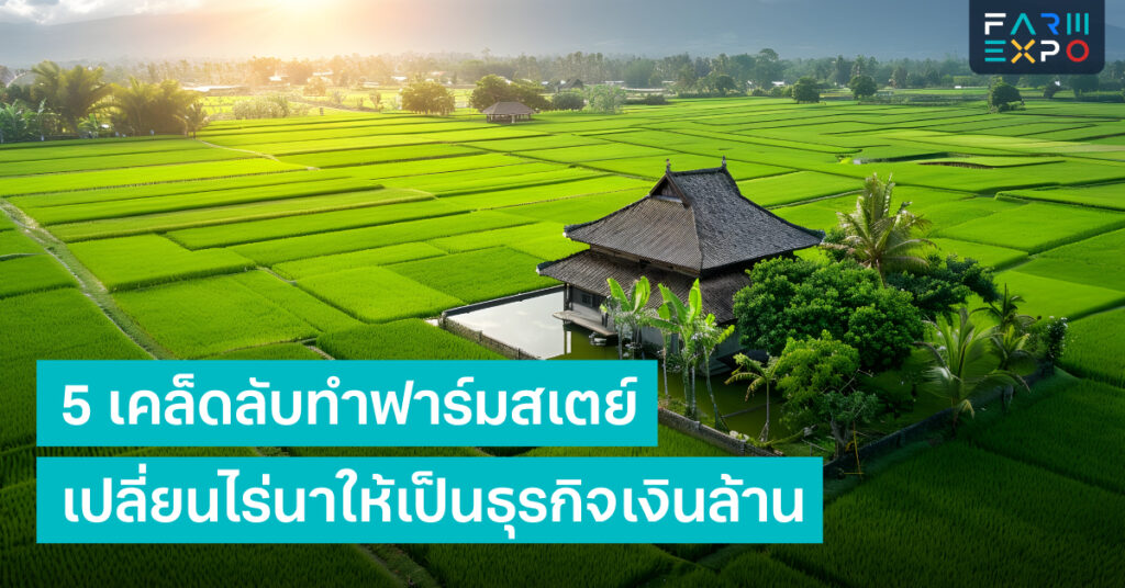 ทำฟาร์มสเตย์แบบนี้ ไม่มีวันเจ๊ง! 5 เคล็ดลับเปลี่ยนไร่นาให้เป็นธุรกิจเงินล้าน