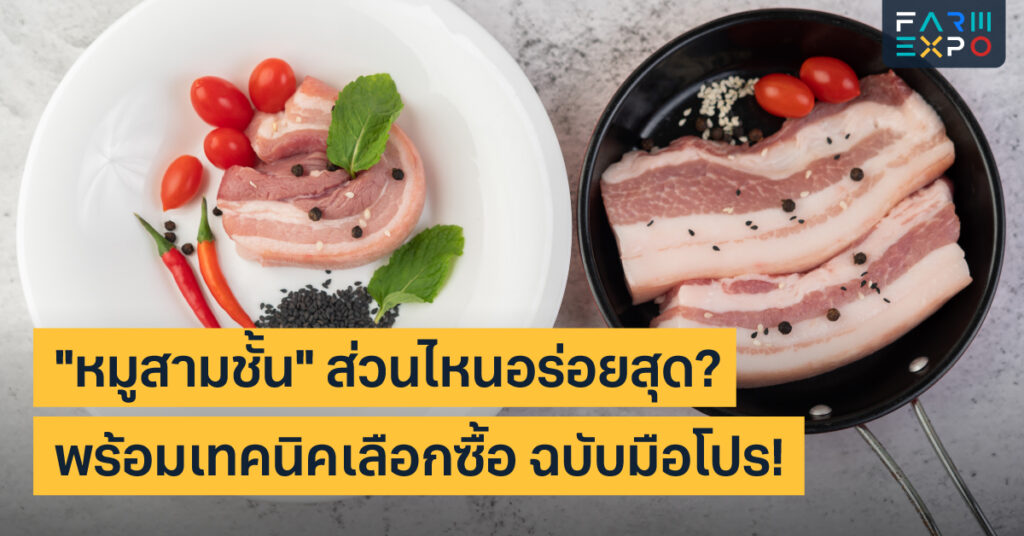 หมูสามชั้นคือส่วนไหน? วิธีเลือกซื้อหมูสามชั้นให้ได้ของสด เนื้อนุ่ม มันน้อย