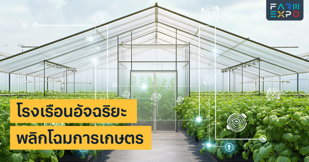 โรงเรือนอัจฉริยะ (Smart Greenhouse) พลิกโฉมการเกษตร