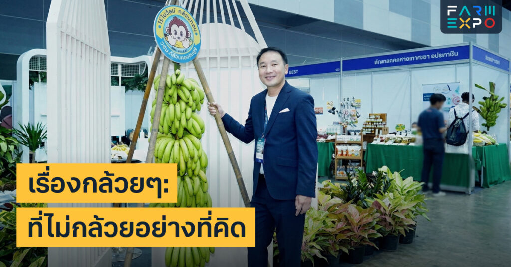 กล้วยหอม ไม่ใช่แค่ผลไม้ที่ขายดี แต่คือโอกาสทางธุรกิจที่ใช้พื้นน้อย 7 กล้วยหอม ไม่ใช่แค่ผลไม้ที่ขายดี แต่คือโอกาสทางธุรกิจที่ใช้พื้นน้อย FarmExpo Content 7