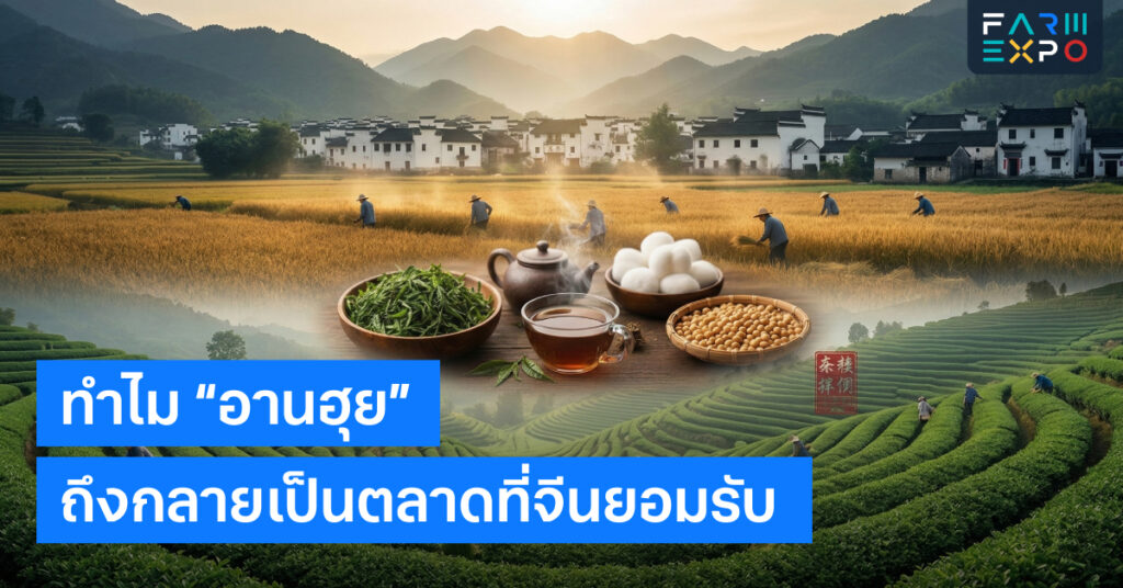 ทำไม “อานฮุย” ถึงกลายเป็นตลาดที่จีนยอมรับ… 2 ทำไม “อานฮุย” ถึงกลายเป็นตลาดที่จีนยอมรับ… FarmExpo Content 2
