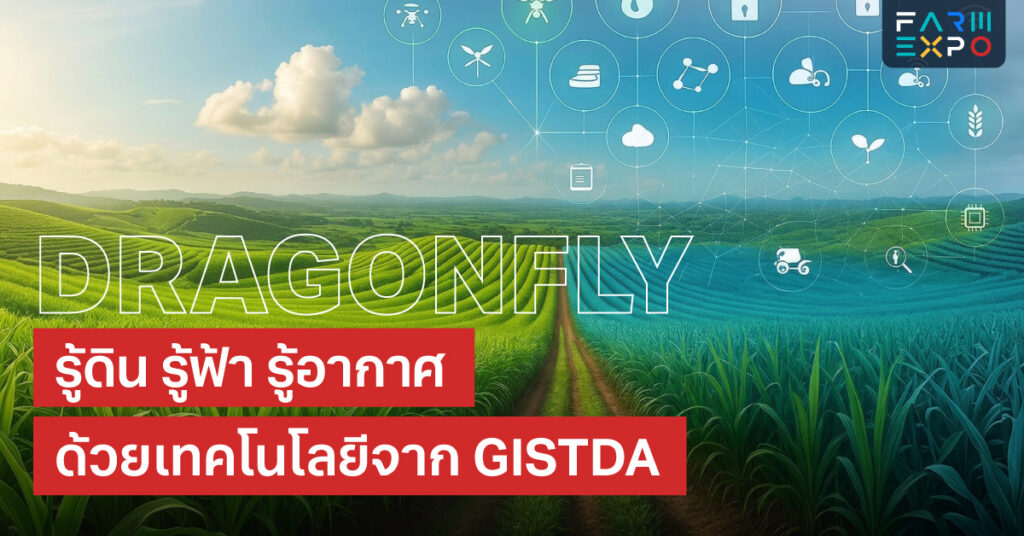 พื้นที่นาของคุณ…พร้อมโดนมองจากอวกาศหรือยัง? 4 พื้นที่นาของคุณ…พร้อมโดนมองจากอวกาศหรือยัง? FarmExpo Content 4
