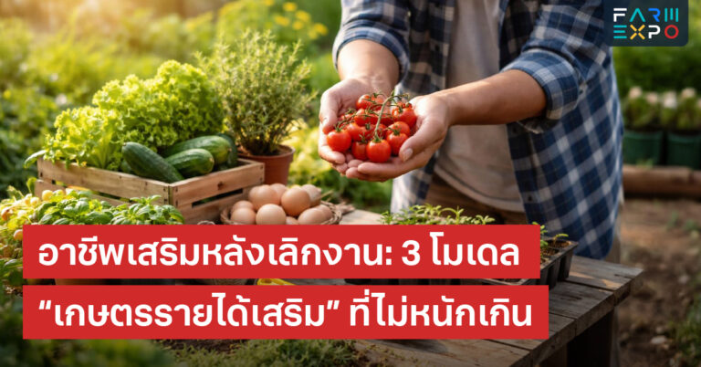 เกษตรรายได้เสริมอาชีพเสริมคนทำงาน, พรีออเดอร์ผัก, เห็ดก้อน, แปรรูปอบแห้ง, คุมเวลา