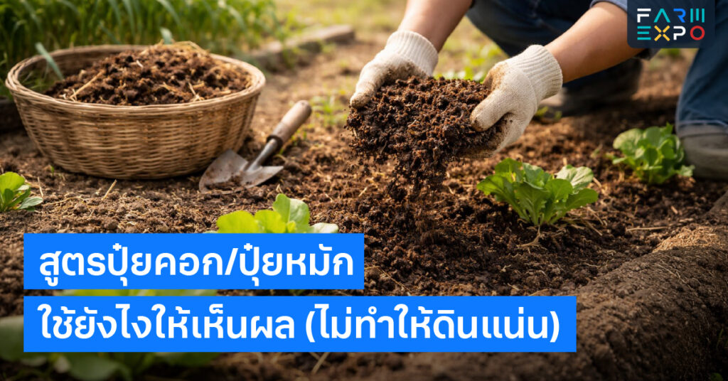 ใช้ปุ๋ยหมักปุ๋ยคอกหมัก, ดินแน่น, ใส่ปุ๋ยยังไง, อินทรีย์วัตถุ, ปรับดิน