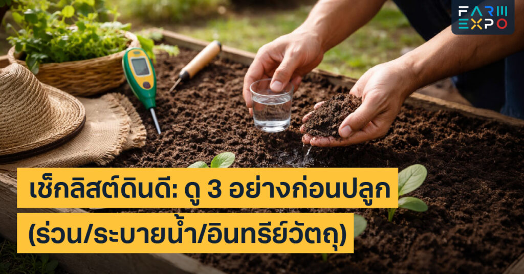 เช็กลิสต์ดินดีดินปลูกผัก, ดินร่วนซุย, ปรับดินก่อนปลูก, ปุ๋ยหมัก, ดินระบายน้ำดี