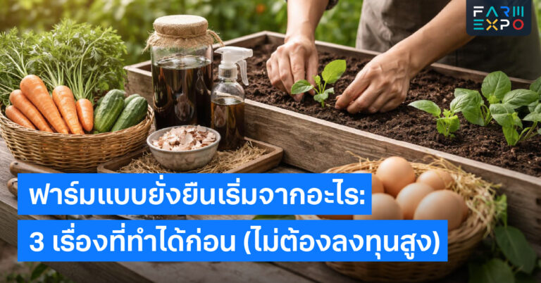 เริ่มทำเกษตรยั่งยืนฟื้นฟูดิน, ลดของเสีย, คลุมดิน, จดบันทึกสวน, ทำทีละขั้น