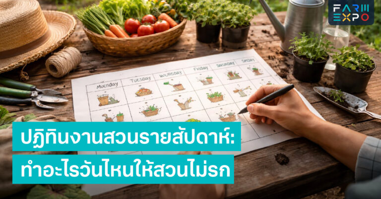 ตารางดูแลสวนงานสวนรายสัปดาห์, ตัดแต่ง, ใส่ปุ๋ย, รดน้ำ, ตรวจโรคแมลง