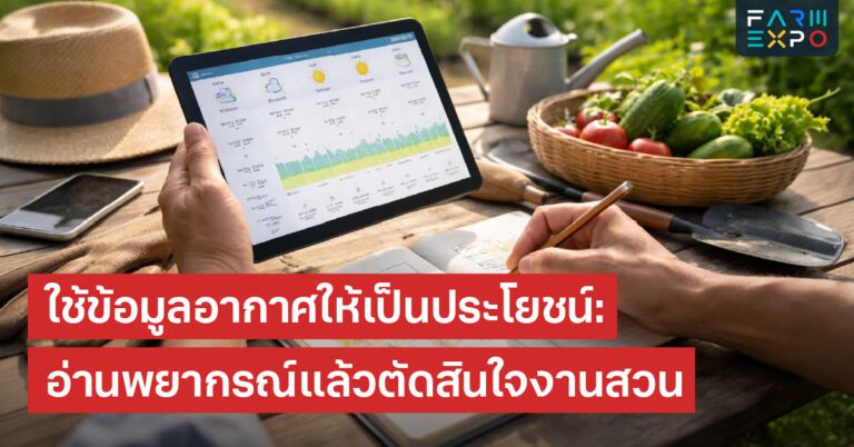 พยากรณ์อากาศเกษตรฝนจะตกทำไง, วางแผนรดน้ำ, ใส่ปุ๋ยช่วงไหนดี, ลดความเสี่ยง, งานสวนตามอากาศ