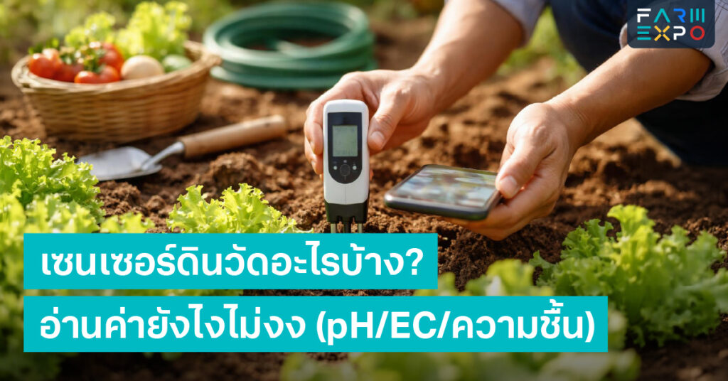 เซนเซอร์ดินวัดความชื้นดิน, ค่า pH ดิน, ค่า EC คืออะไร, คุมการให้น้ำ, ระบบน้ำหยด