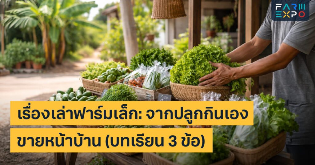 ปลูกกินเองขายได้ขายผักหน้าบ้าน, ปลูกแบบแบ่งล็อต, พรีออเดอร์ผัก, แพ็กผักขาย, ลูกค้าซ้ำ