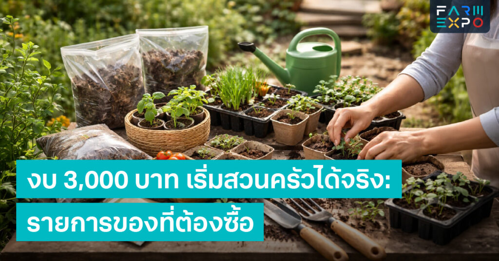 งบ 3000 สวนครัวเริ่มปลูกผัก, อุปกรณ์ปลูกผัก, ปลูกในกระถาง, ดินปลูก, มือใหม่ทำสวน