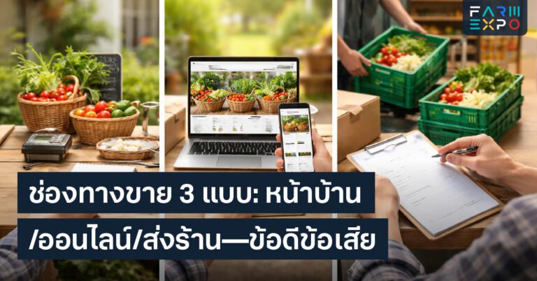 ช่องทางขายผลผลิตขายผักออนไลน์, ส่งร้านอาหาร, ขายหน้าบ้าน, ราคาขายส่ง, ลูกค้าประจำ