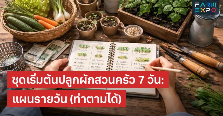 Home 16 แผนปลูกผัก 7 วันเริ่มสวนครัว, ตารางปลูกผัก, มือใหม่ปลูกผัก, ปลูกล็อตเล็ก, เช็กลิสต์อุปกรณ์