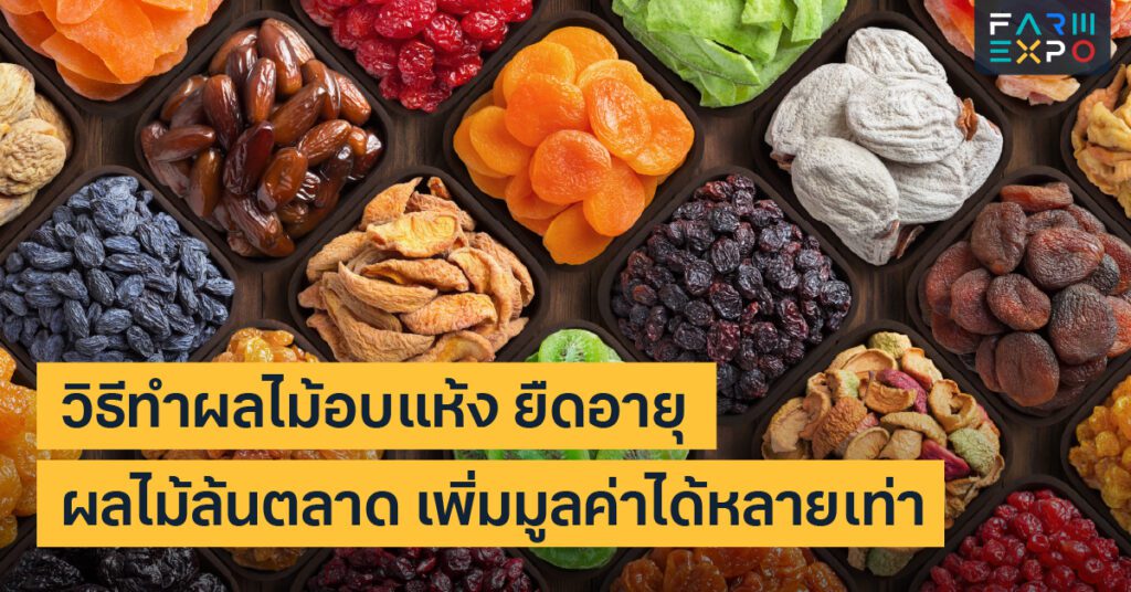 วิธีทำผลไม้อบแห้งเกษตรแปรรูป, ถนอมอาหาร, แปรรูปผลไม้หน้าร้อน, เพิ่มมูลค่าสินค้าเกษตร, ลดของเสีย