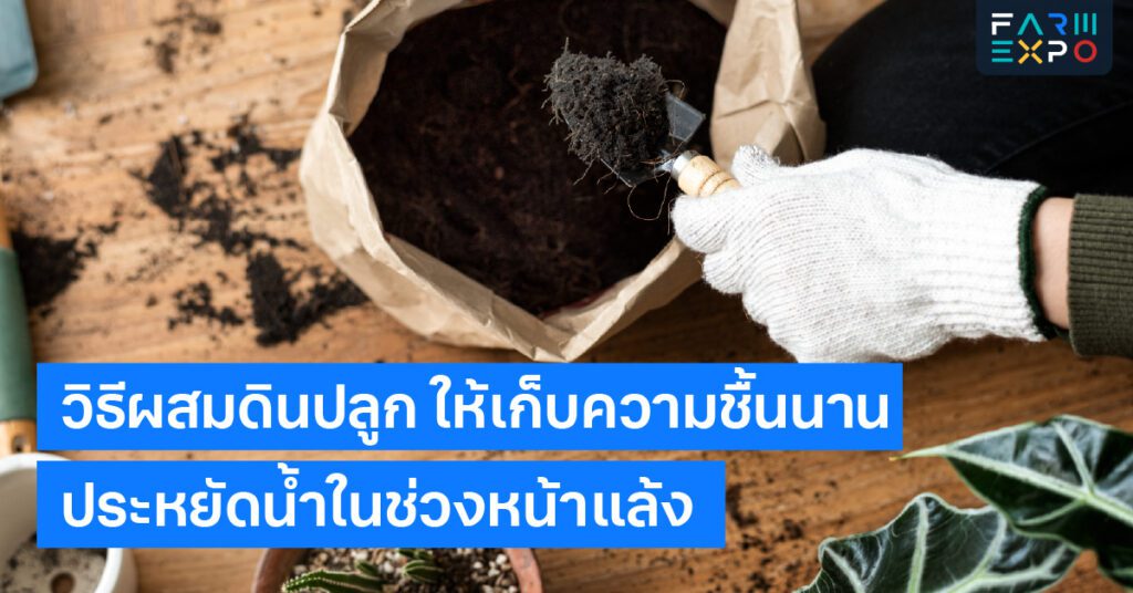 วิธีผสมดินปลูกปรุงดิน, ดินร่วนซุย, สูตรดินปลูกผัก, เทคนิคทำสวน, ประหยัดน้ำเกษตร