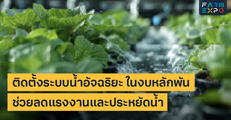Home 13 ระบบน้ำอัจฉริยะSmart Farm งบน้อย, ตั้งเวลารดน้ำ, เซนเซอร์ความชื้น, เทคโนโลยีเกษตร, ระบบน้ำหยด