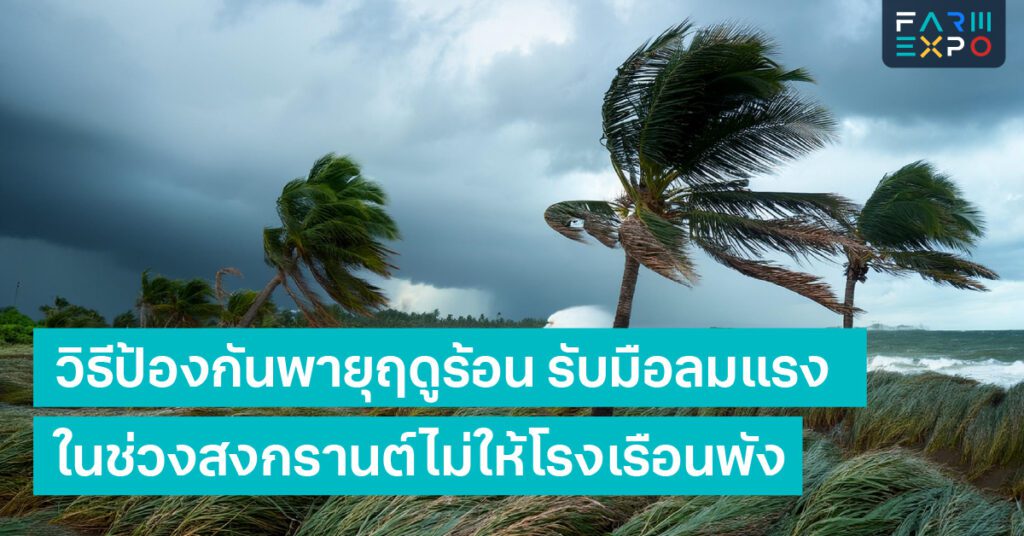 วิธีป้องกันพายุฤดูร้อนลมกระโชกแรง, โรงเรือนเกษตร, ความเสียหายจากพายุ, การจัดการสวน, พายุเมษายน