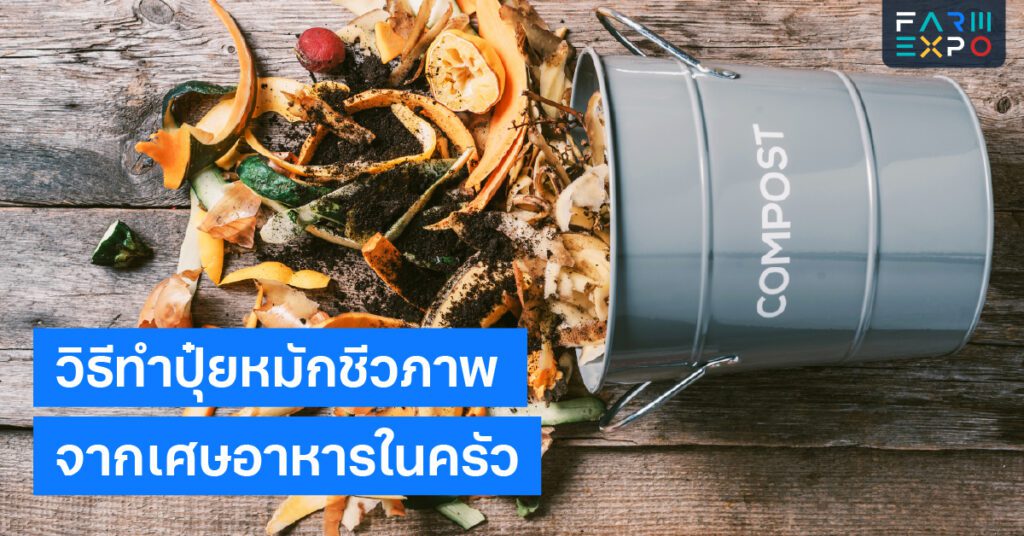 วิธีทำปุ๋ยหมักชีวภาพปุ๋ยอินทรีย์, ลดขยะในครัว, บำรุงดิน, เกษตรอินทรีย์, ทำปุ๋ยใช้เอง