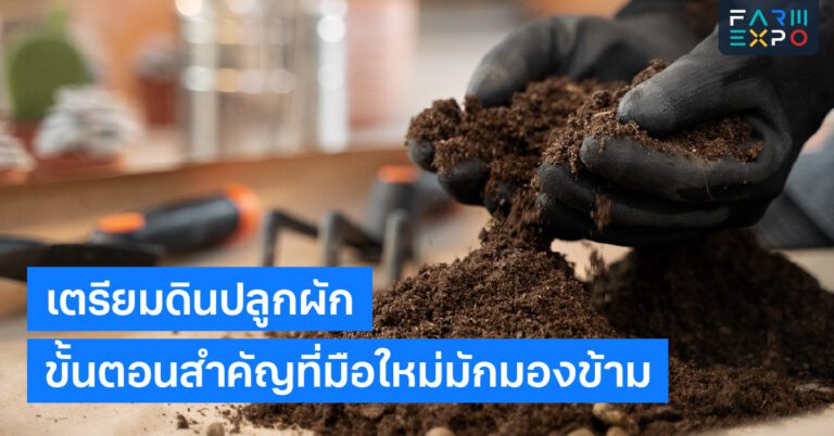 เตรียมดินปลูกผักปรุงดิน, เกษตรเริ่มแรก, สารอาหารในดิน, ปลูกผักให้โตไว, วิธีทำสวน