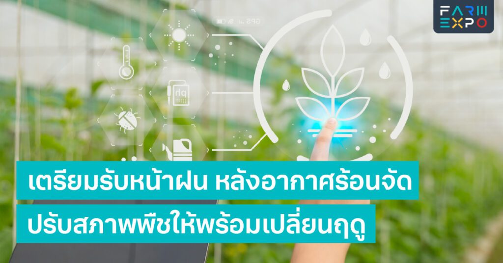 เตรียมรับหน้าฝนดูแลพืชรอยต่อฤดู, ฝนแรกพายุ, ป้องกันเชื้อรา, ปรับสภาพดิน, เกษตรกรเตรียมตัว