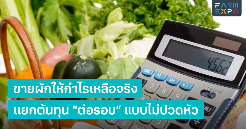 ต้นทุนฟาร์มต้นทุนต่อรอบ, ค่าแรง, ค่าวัตถุดิบ, ค่าเดินทาง