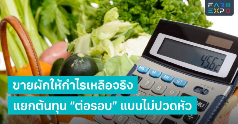 ต้นทุนฟาร์มต้นทุนต่อรอบ, ค่าแรง, ค่าวัตถุดิบ, ค่าเดินทาง