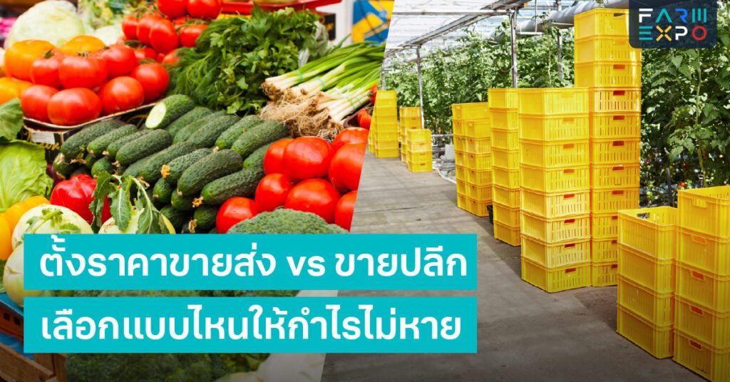 ราคาขายส่งขายปลีกตั้งราคา, กำไรขั้นต้น, ปริมาณขาย, ค่าแพ็ก