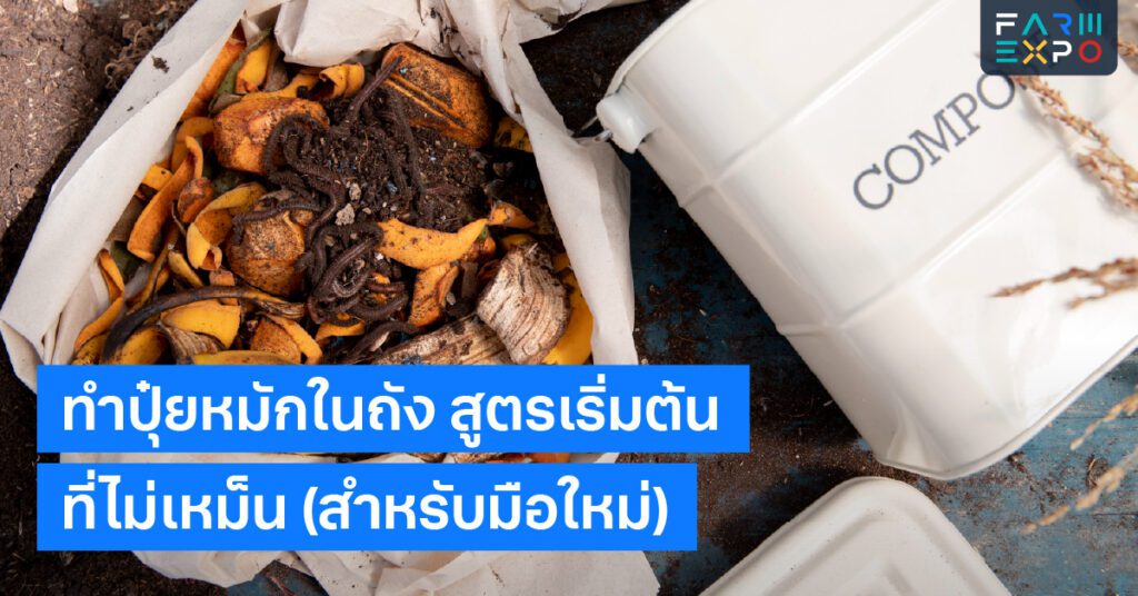 ปุ๋ยหมักในถังน้ำหมัก, วัสดุสีน้ำตาล, วัสดุสีเขียว, กลิ่นเหม็น