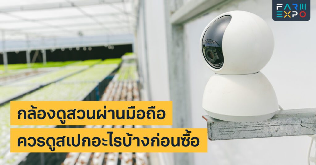 กล้องดูสวนกล้อง IP, กันน้ำ, ดูกลางคืน, wifi