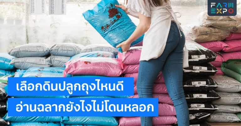 ดินปลูกถุงดินร่วน, ระบายน้ำ, อินทรีย์วัตถุ, ผสมแกลบ