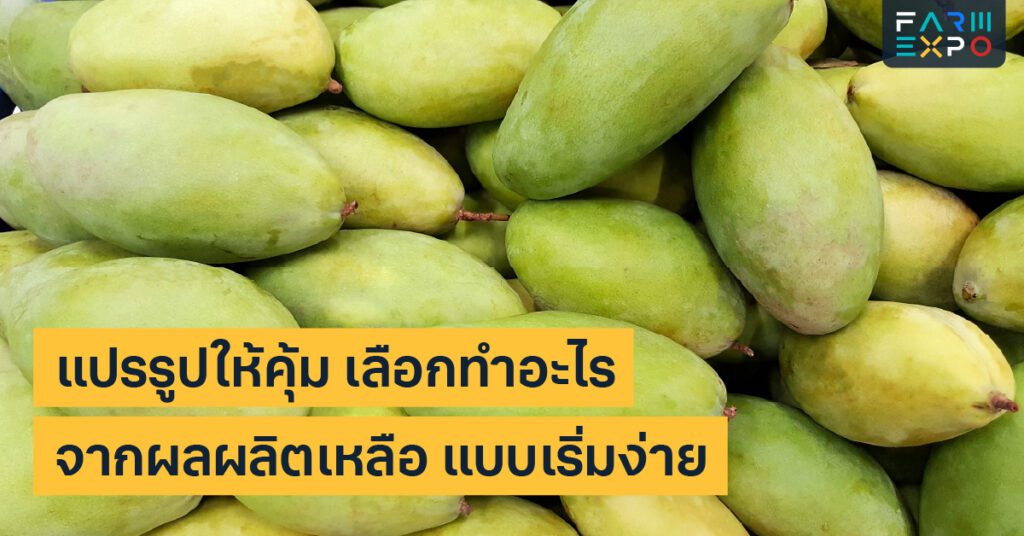 แปรรูปผลผลิตเหลือลดของเสีย, เพิ่มมูลค่า, อบแห้ง, ทำแยม