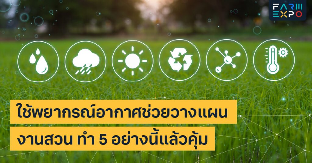 พยากรณ์อากาศเกษตรวางแผนรดน้ำ, ใส่ปุ๋ย, เลี่ยงฝน, งานสวน