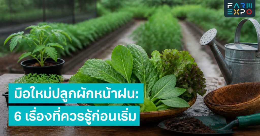 คุมต้นทุนหน้าฝนของเสียหน้าฝน, ต้นทุนฟาร์ม, ราคาขาย, ลดของเสีย
