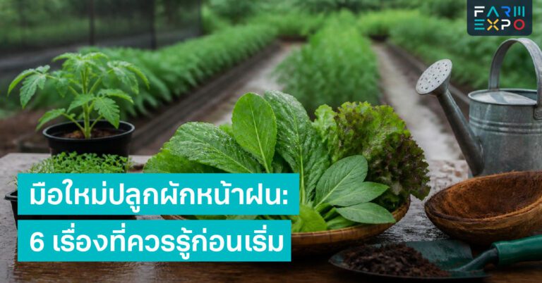 Home 13 คุมต้นทุนหน้าฝนของเสียหน้าฝน, ต้นทุนฟาร์ม, ราคาขาย, ลดของเสีย