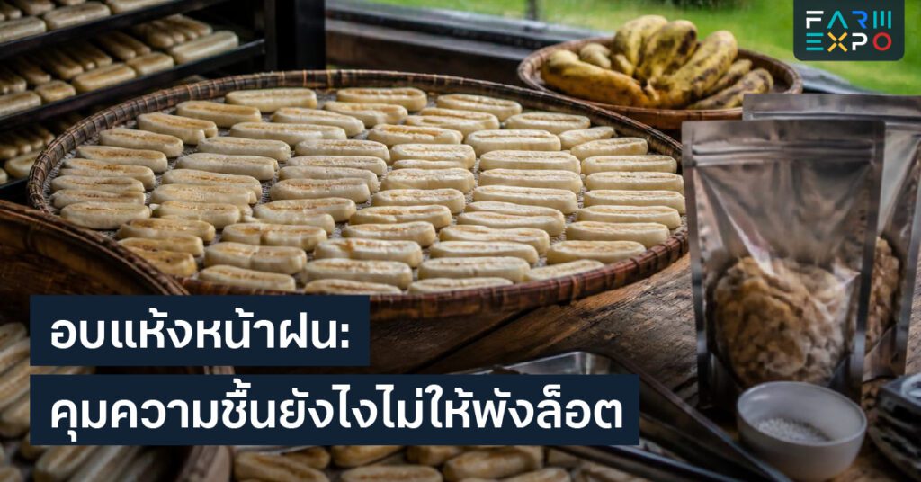 ปลูกผักในกระถางหน้าฝนกระถางระบายน้ำ, น้ำขัง, ผักสวนครัว, ระเบียง
