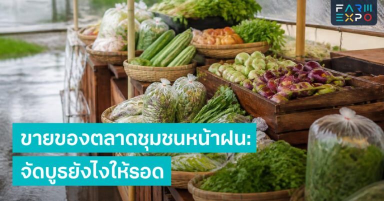 อบแห้งหน้าฝนความชื้นสูง, อาหารแห้งขึ้นรา, แพ็กกันชื้น, ล็อตทดลอง