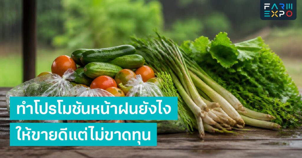 โปรไฟล์ธุรกิจ FarmExpobusiness matching, คู่ค้าเกษตร, supplier, นัดคุย