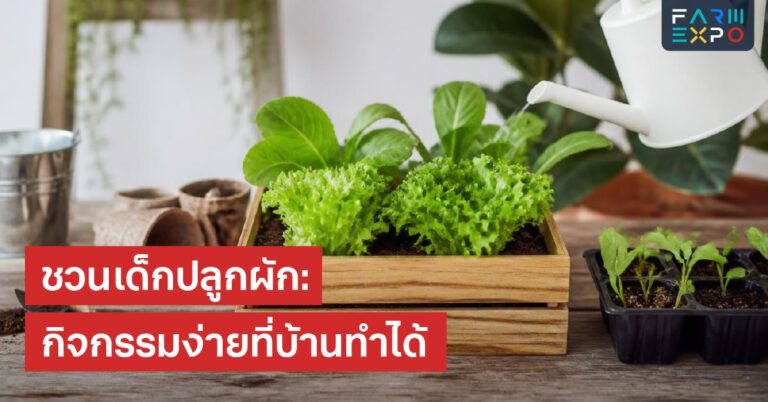 ทำซอสขายน้ำพริกทำขาย, สุขอนามัย, ขวดแก้ว, วันหมดอายุ