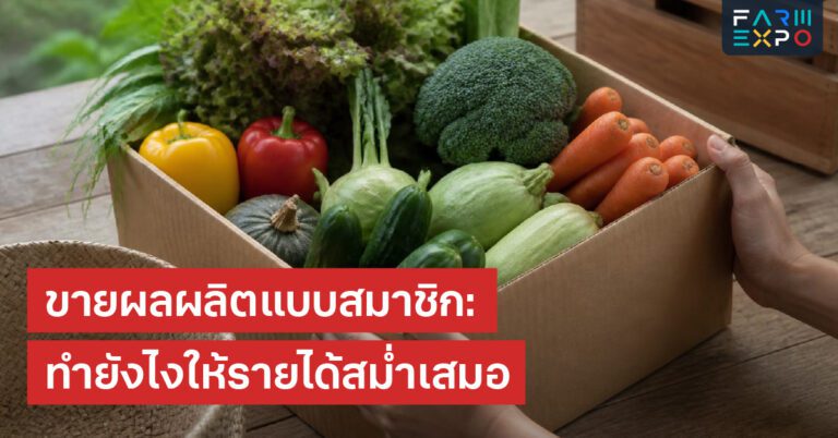 เทียบสเปกเครื่องมือเกษตรเครื่องมือเกษตร, ราคา, รับประกัน, ใช้งานจริง