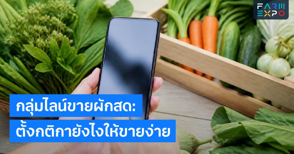 แปรรูปผลไม้เหลือผลไม้หน้าฝน, ทำแยม, อบแห้ง, น้ำผลไม้