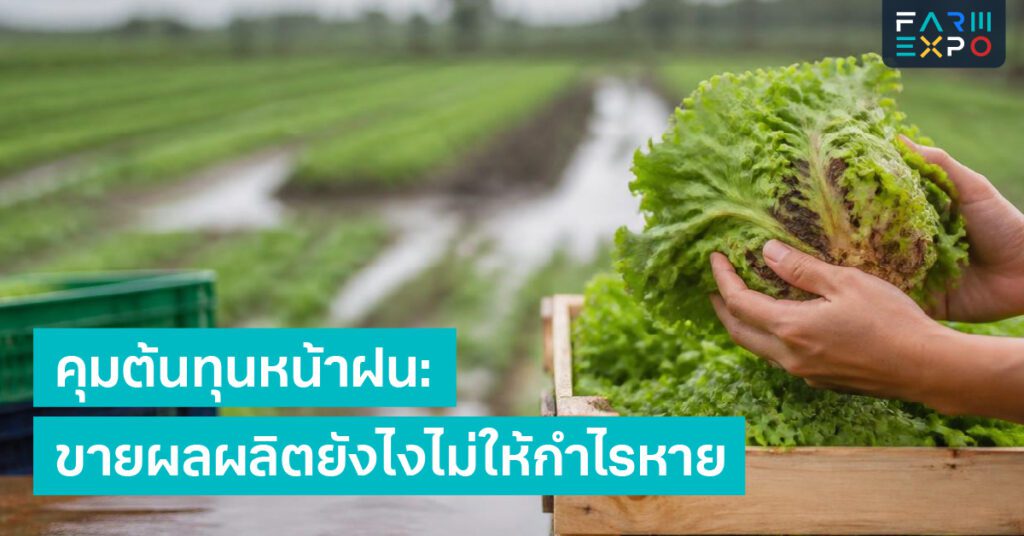 ข้อมูลฝนย้อนหลังวางแผนปลูก, พยากรณ์อากาศ, ปริมาณฝน, ลดความเสี่ยง