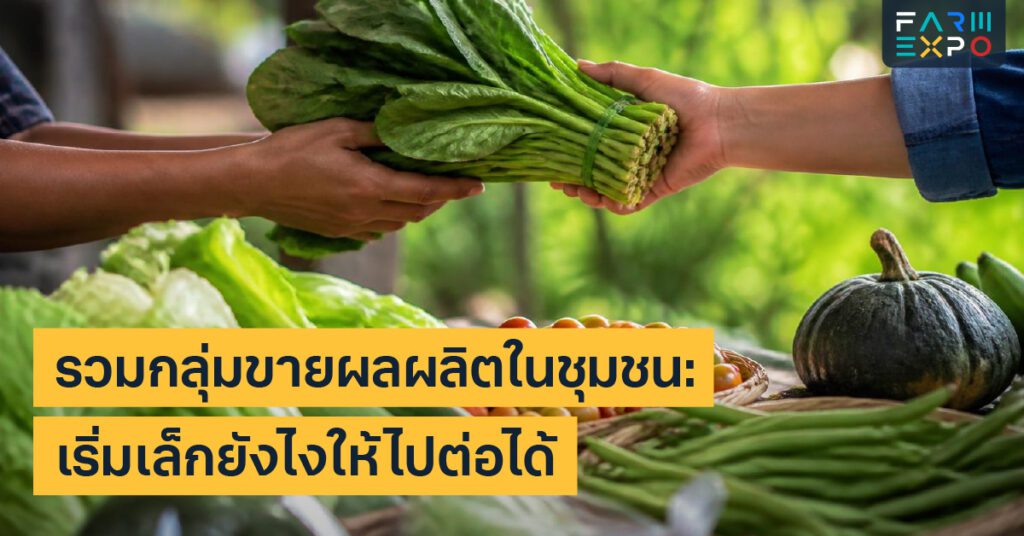 เก็บผลผลิตหน้าฝนความชื้น, ขึ้นรา, แพ็กกันชื้น, หลังเก็บเกี่ยว