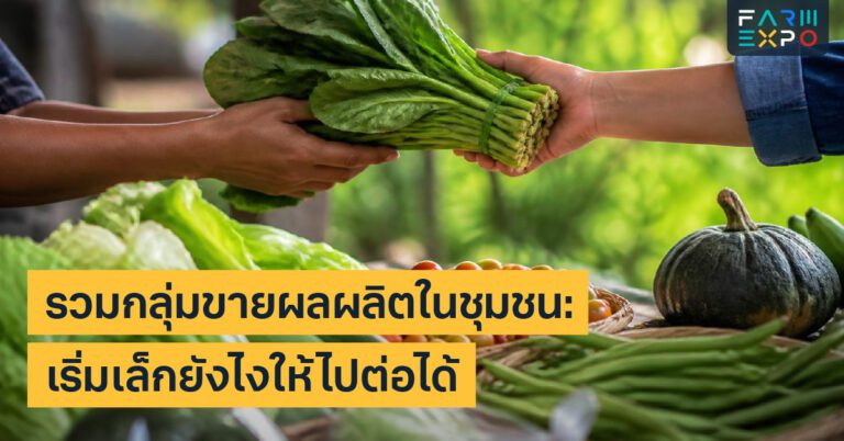 Home 13 เก็บผลผลิตหน้าฝนความชื้น, ขึ้นรา, แพ็กกันชื้น, หลังเก็บเกี่ยว