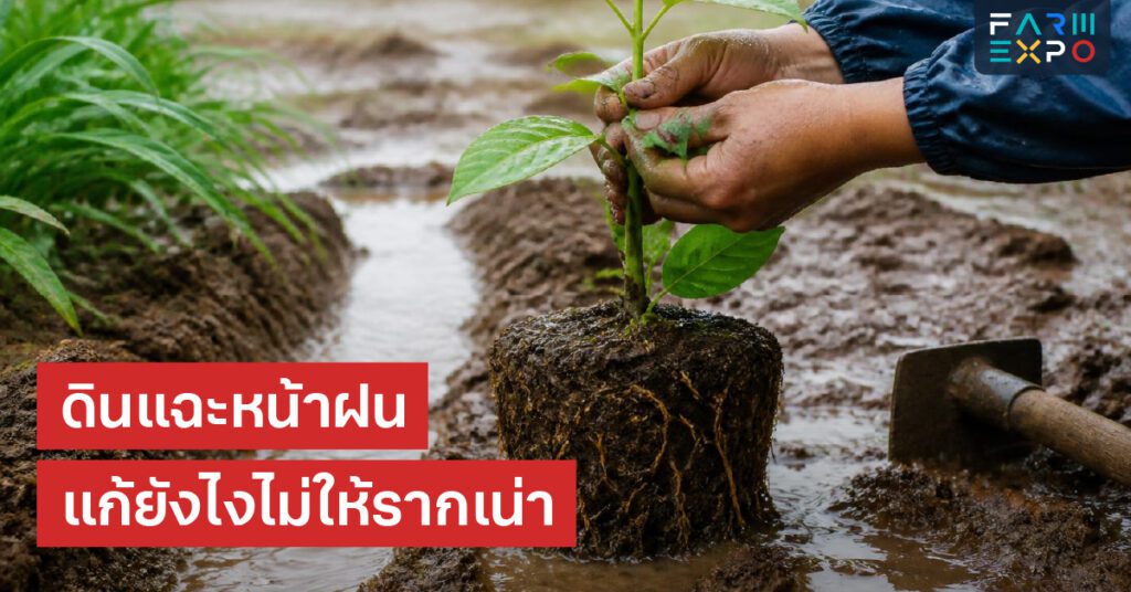 รวมกลุ่มขายผลผลิตตลาดชุมชน, กลุ่มเกษตรกร, พรีออเดอร์, รอบส่ง