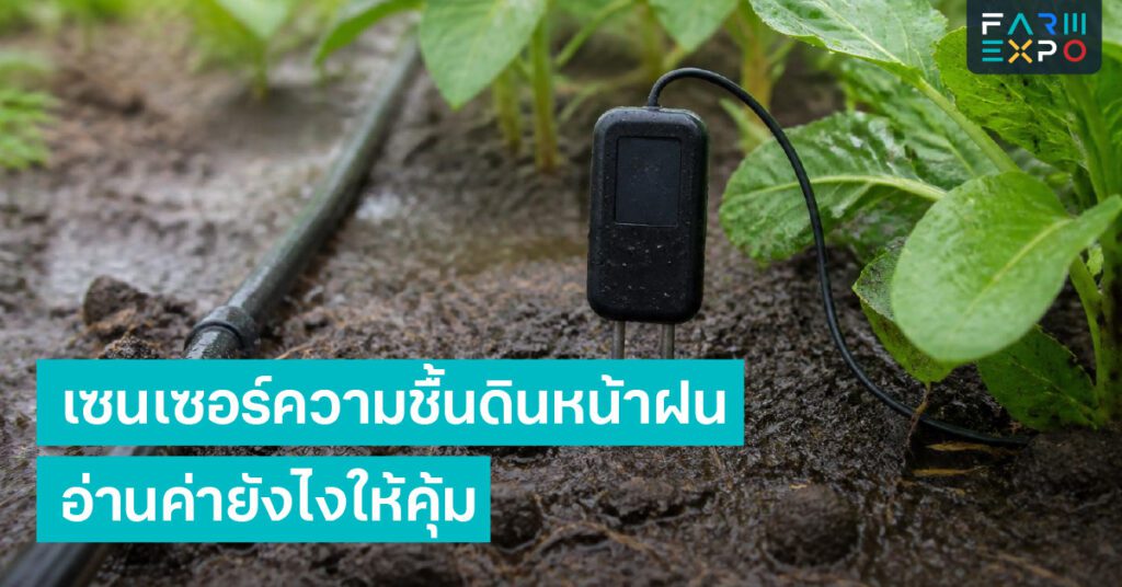ตัดแต่งกิ่งหน้าฝนระบายอากาศ, เชื้อรา, กิ่งแน่น, ตัดใบเสีย